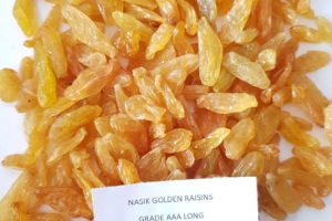 Nashik-Golden-Raisins-Grade-AAA-Long