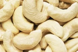 export-cashew-nut-kernels-ww180-ww220-ww240-ww320-ww4501-0525180001618388420.jpg
